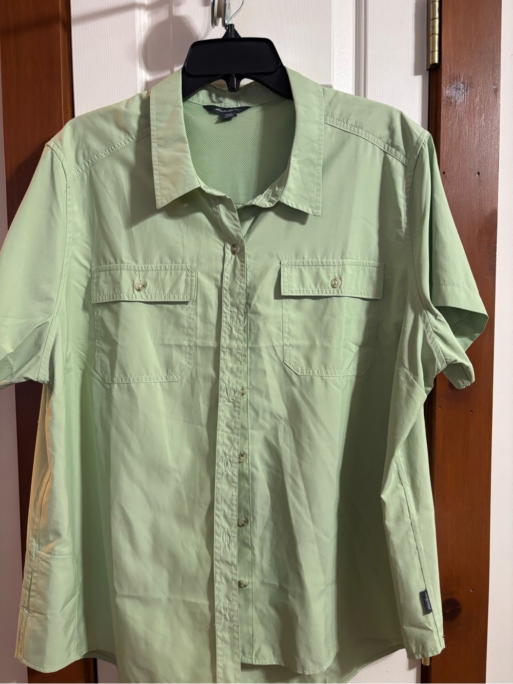 Eddie Bauer Light Green Short-Sleeve Button-Down Shirt